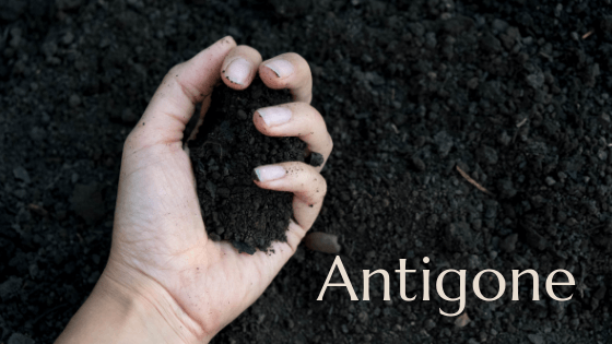 logo for Antigone
